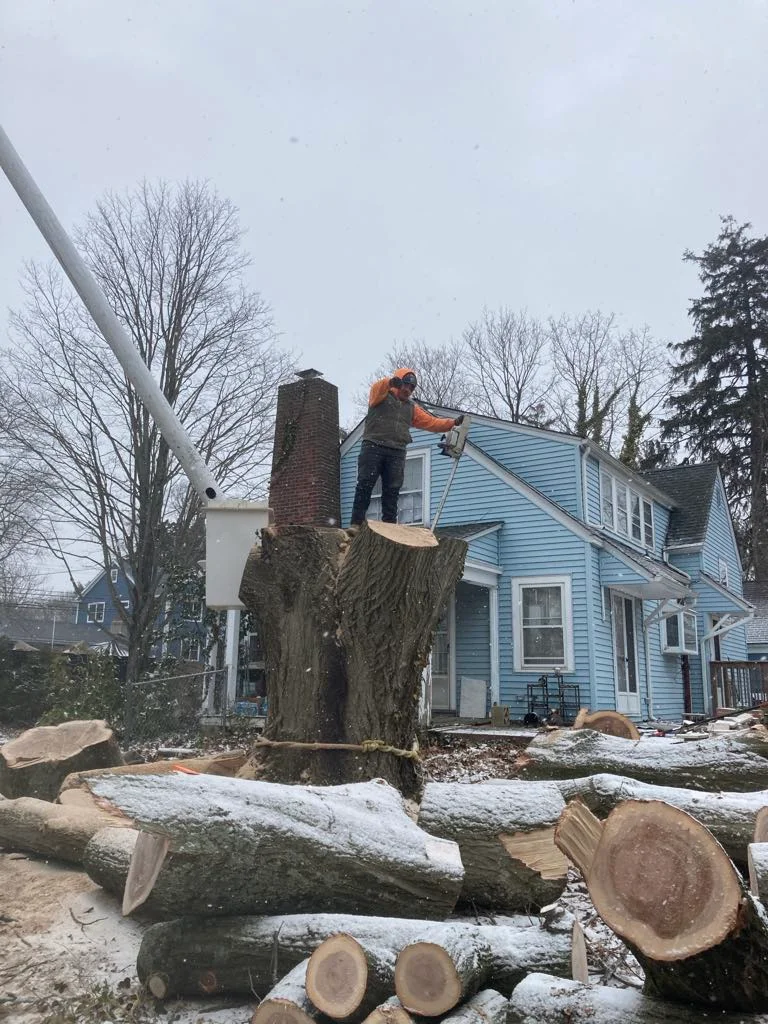 rafaellandscapingllc