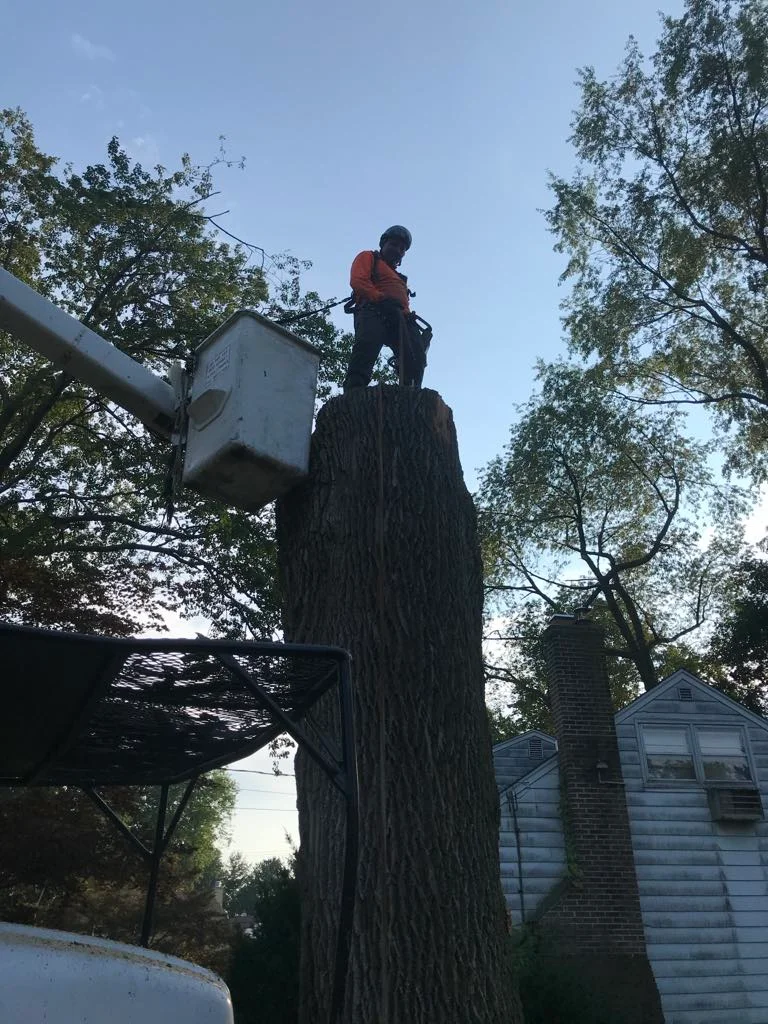 rafaellandscapingllc